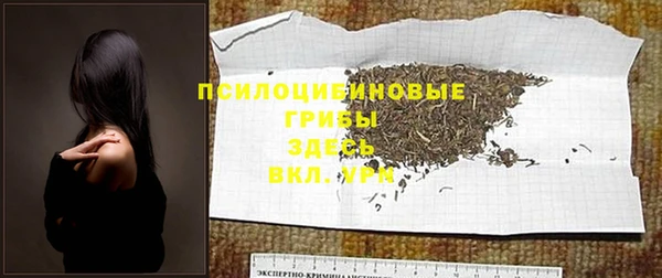 бошки Лагань