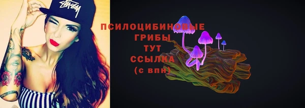 молекула духа Липки