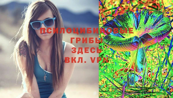 молекула духа Липки