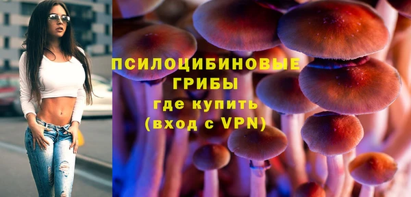 прущий лед Лиски