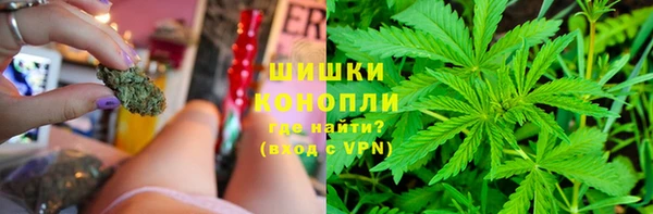 бошки Лагань